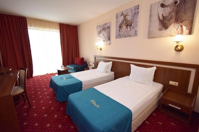 Allegra Balneo and SPA hotel - Double room (pool or park view)