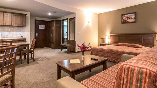 Lion Bansko - Family room